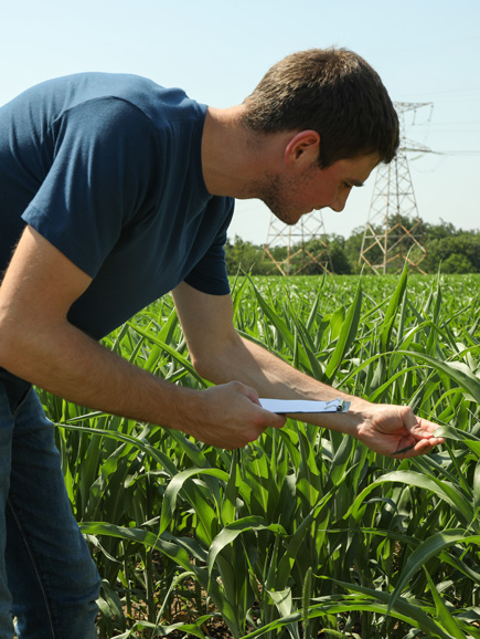 agro industries hyderabad